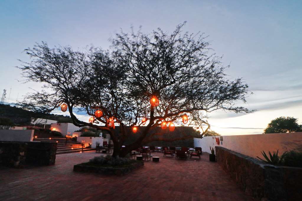 Albor San Miguel de Allende Tapestry Collection by Hilton