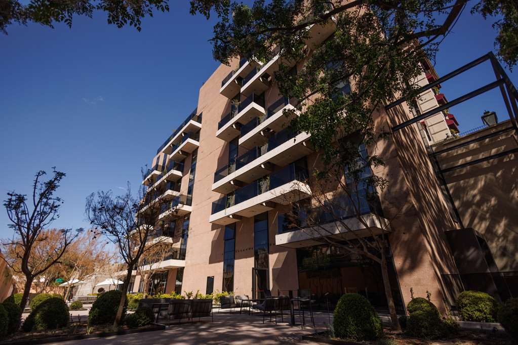 Hualta Hotel Mendoza Curio Collection by Hilton