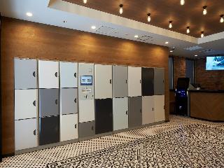 Sotetsu Fresa Inn Nihombashi Kayabacho