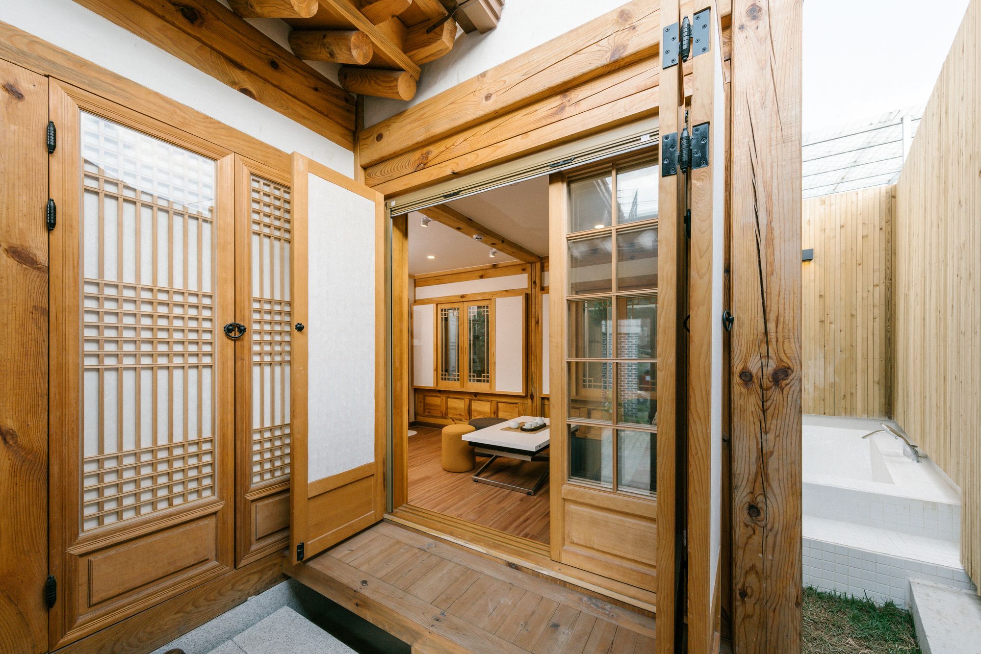 Adam Hanok