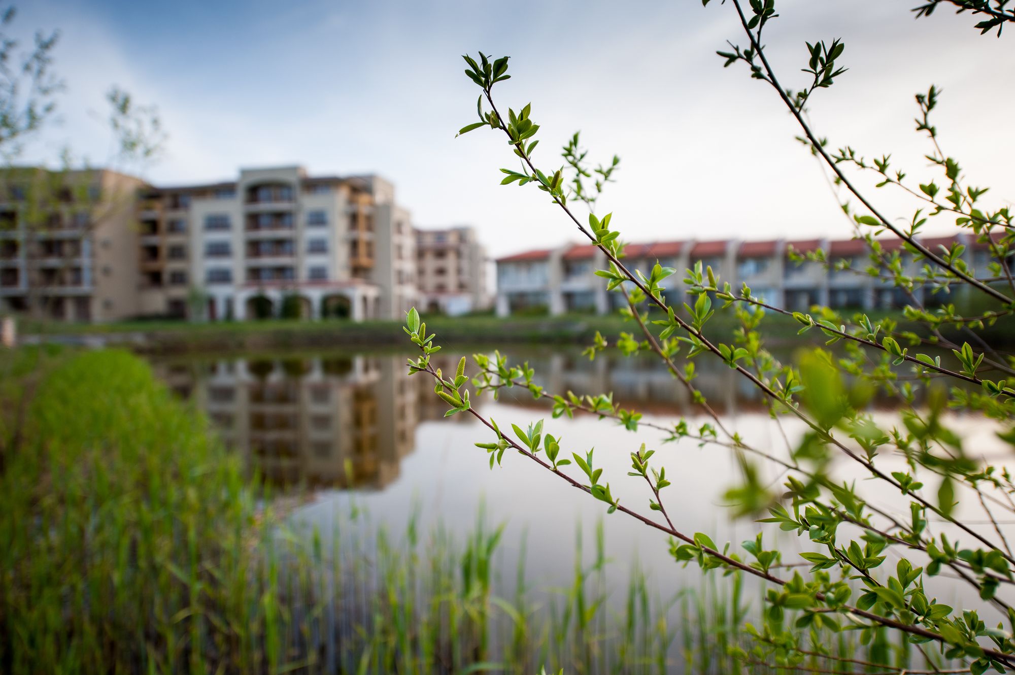 Lighthouse Apartments & Villas