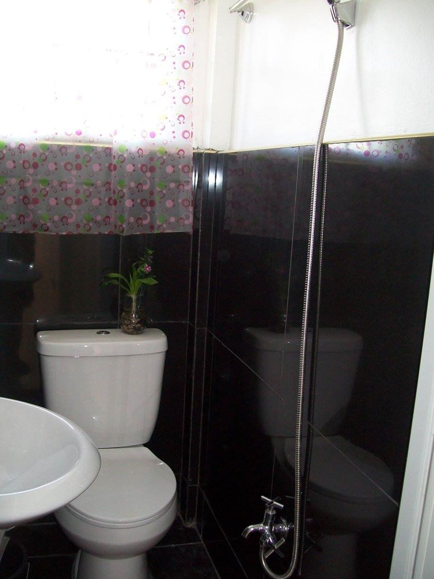 Charm Guest House Hostel