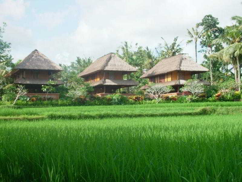 Agung Raka Bungalows