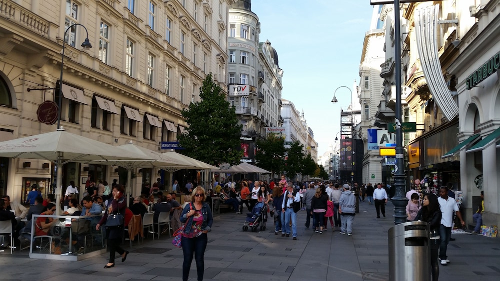 Goldfisch Apartment Vienna Opera House