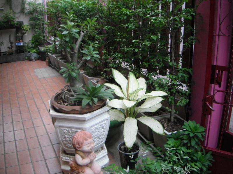 Verythai House
