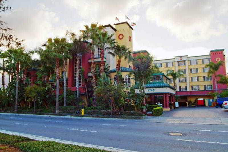 Peacock Suites