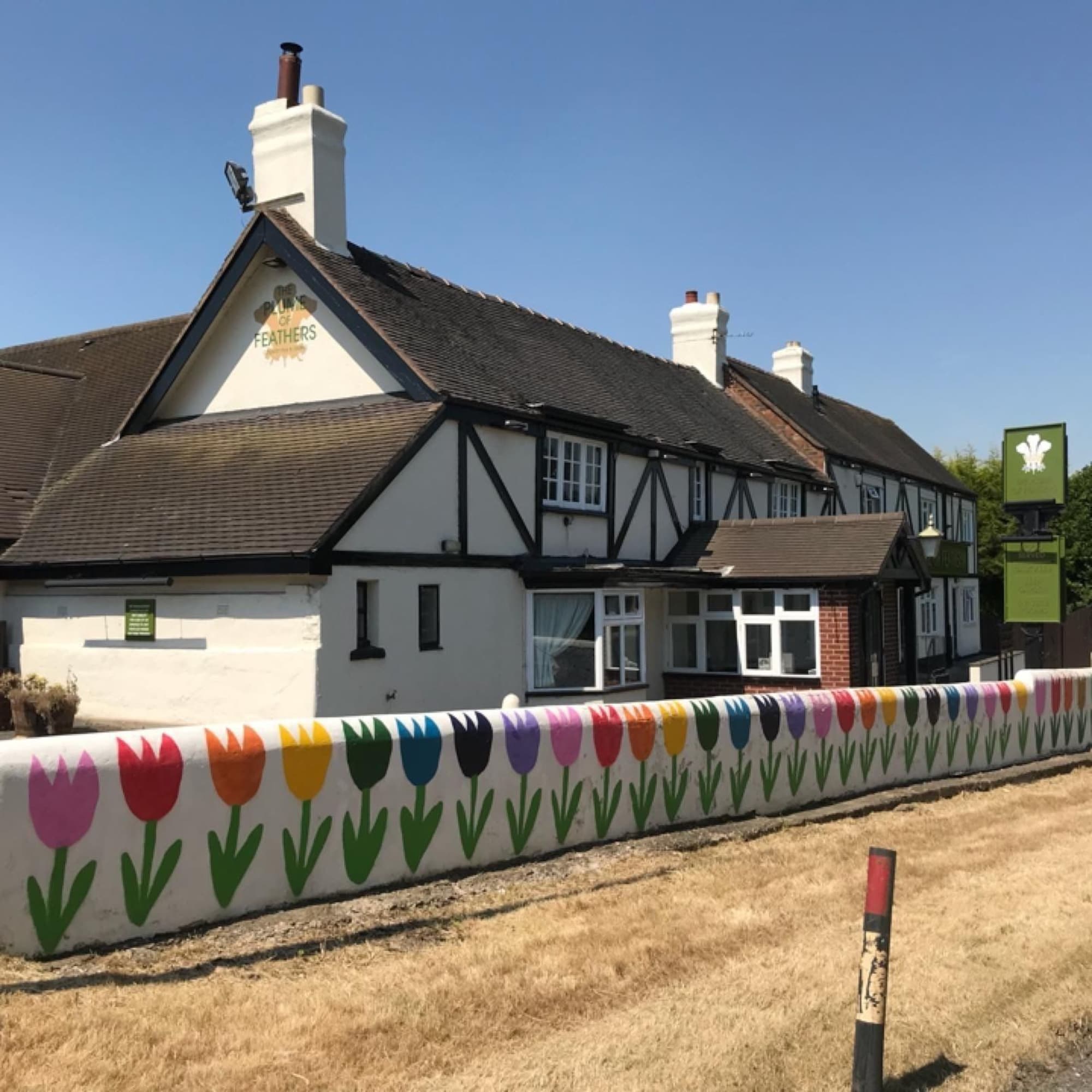 The Plume of Feathers