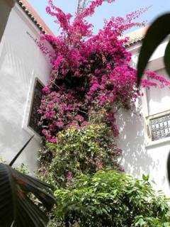 Riad Swaka