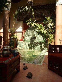 Riad Chorfa