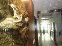 Hotel Millennium 2000 Dx
