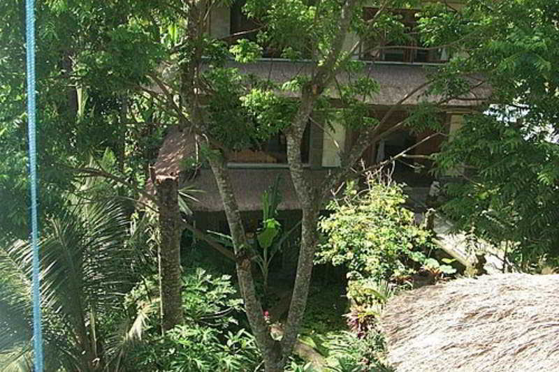 Alam Jiwa