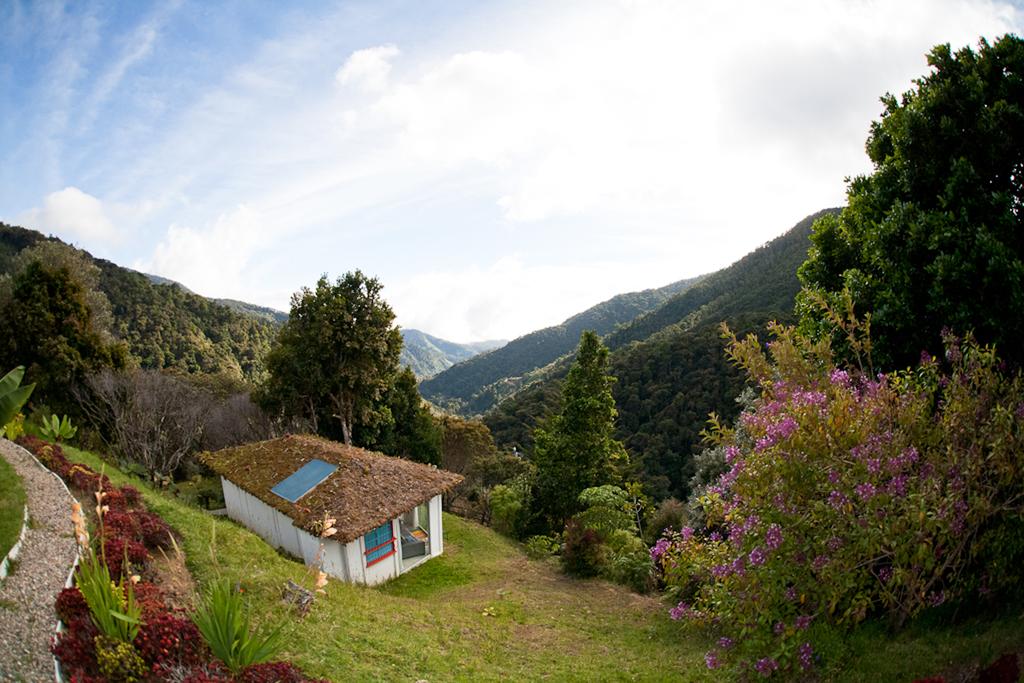 Dantica Cloud Forest Lodge