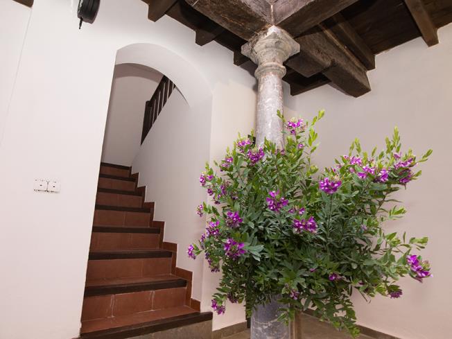 Apartamentos Granada Nahira Suites 3000