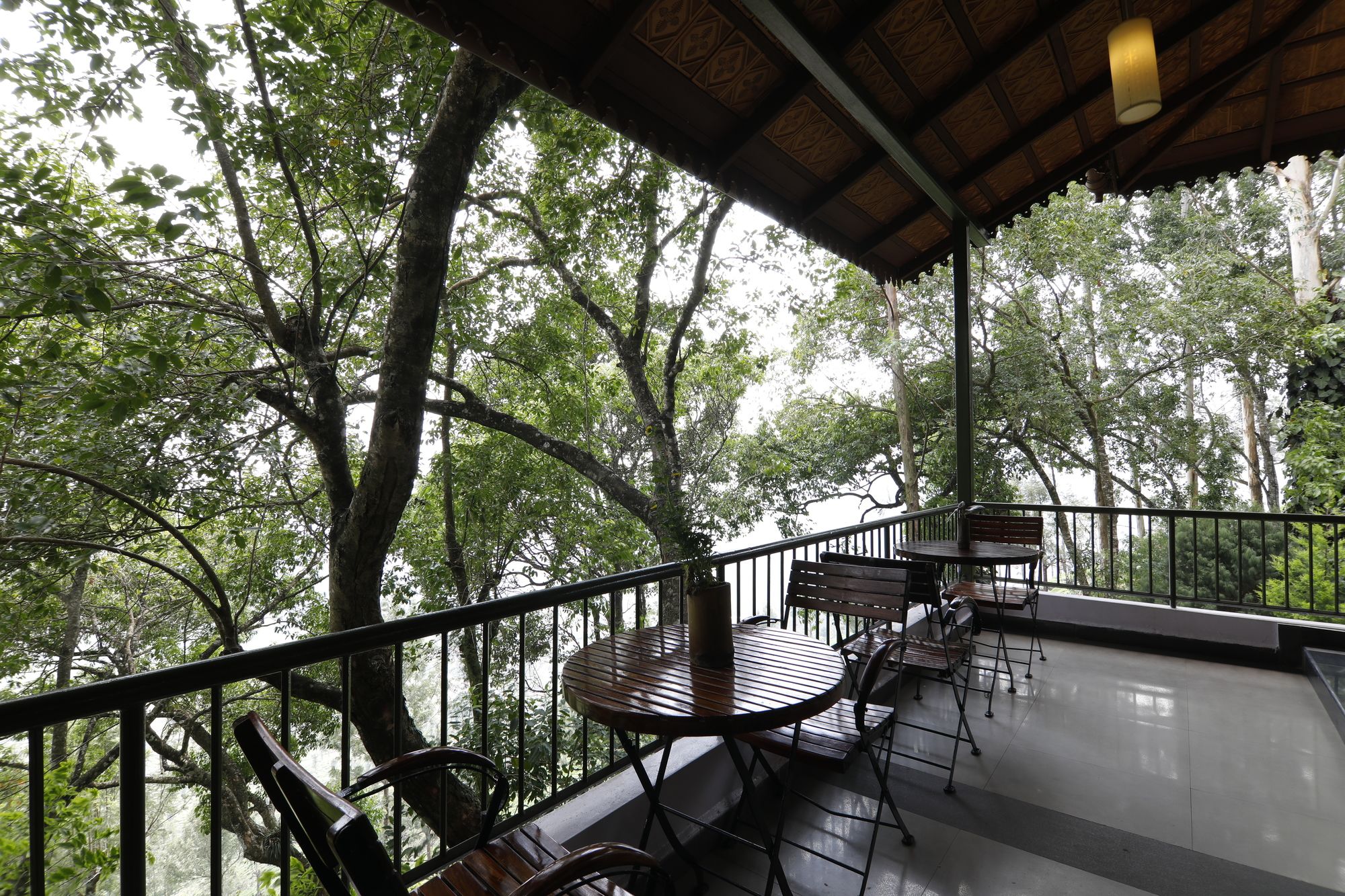 Tea Valley Resort