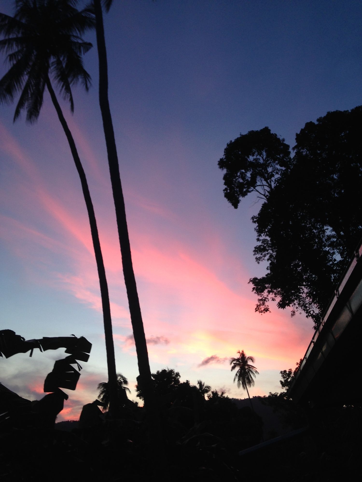 Samui Pink House