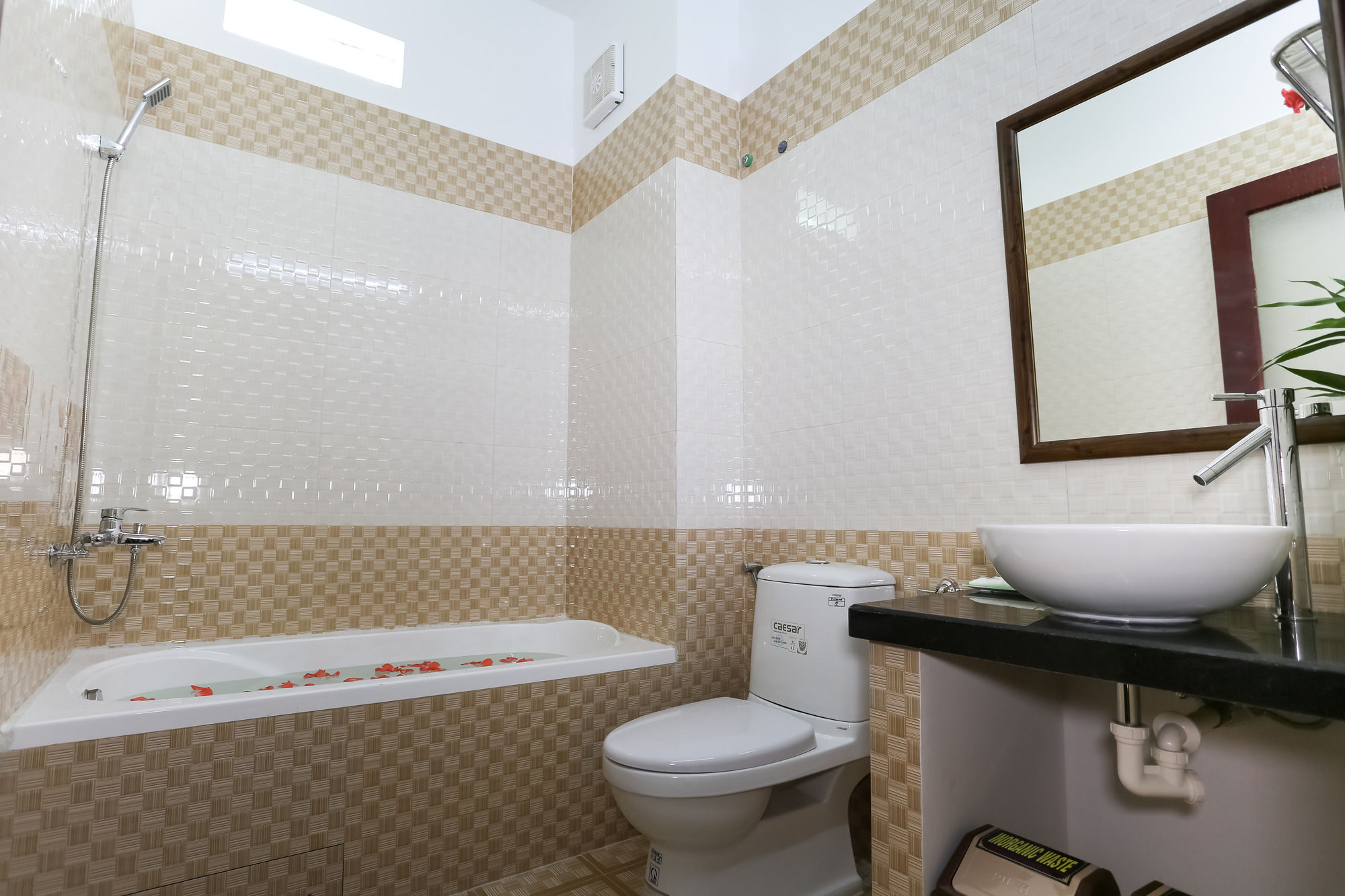 Phoenix Homestay Hoi An
