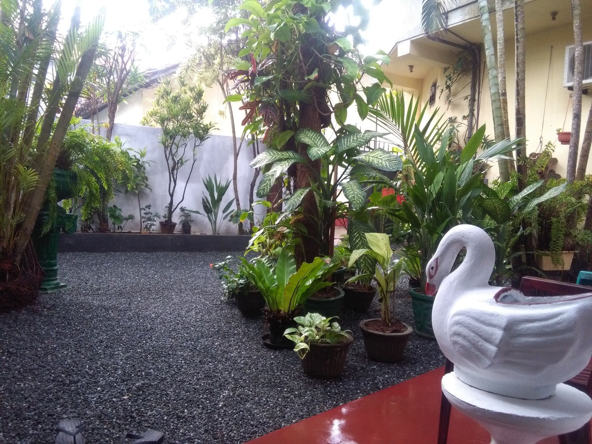 Mia's Villa