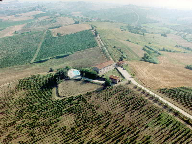 Tenuta di Colle Alberti