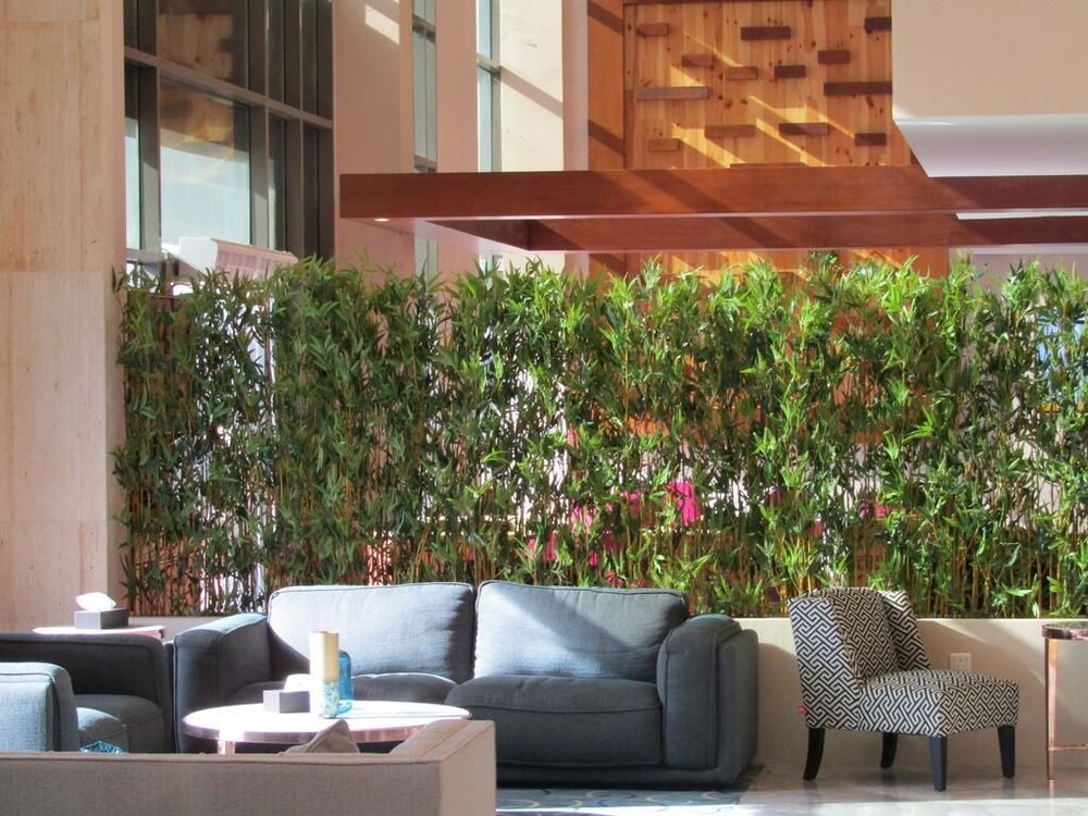 Olian Hotel