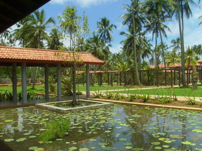 Serene Pavilions
