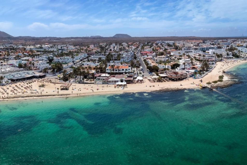 Apartamentos LIVVO Erika