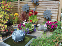 Montfort Cottage Guest House