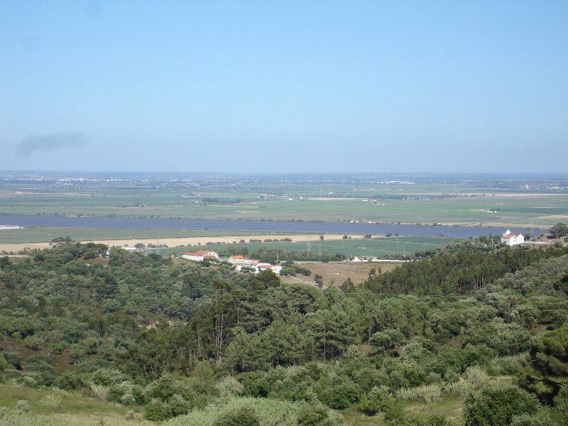 Boica