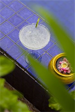 Petit Temple Suite & Spa
