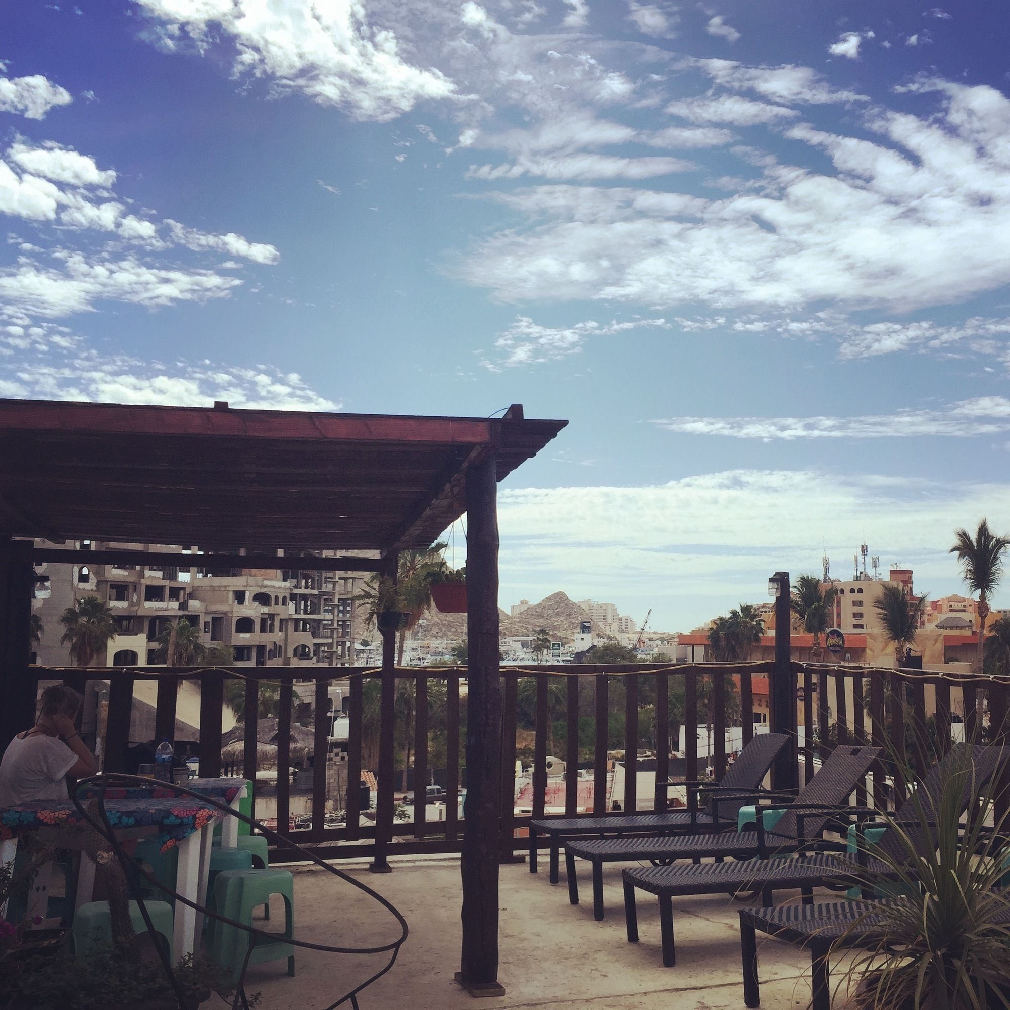 Hostel Baja's Cactus
