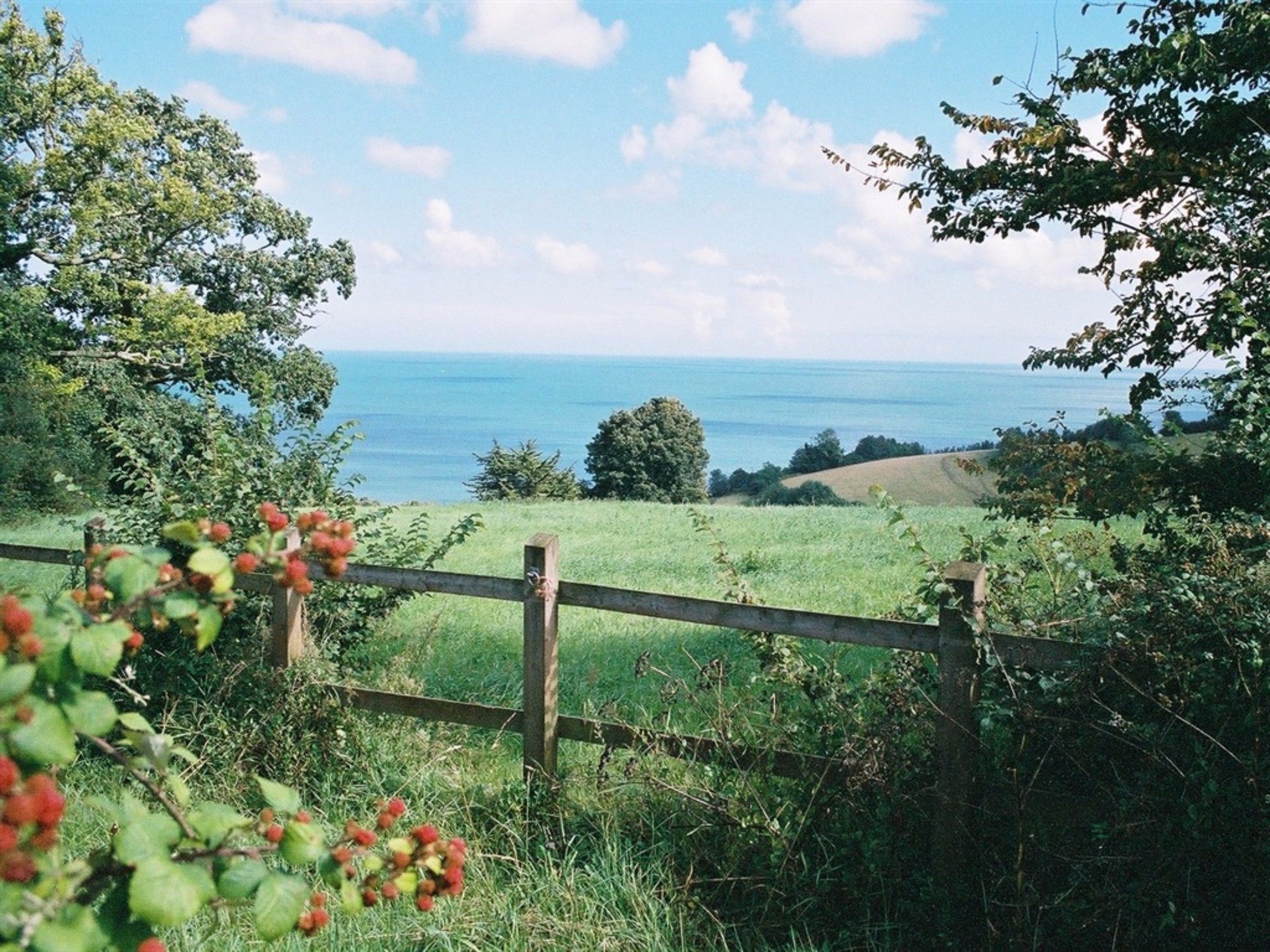 Devon Palms