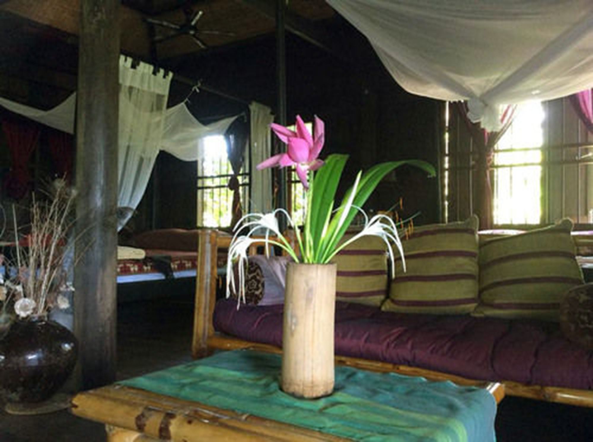 The Bong Thom Homestay
