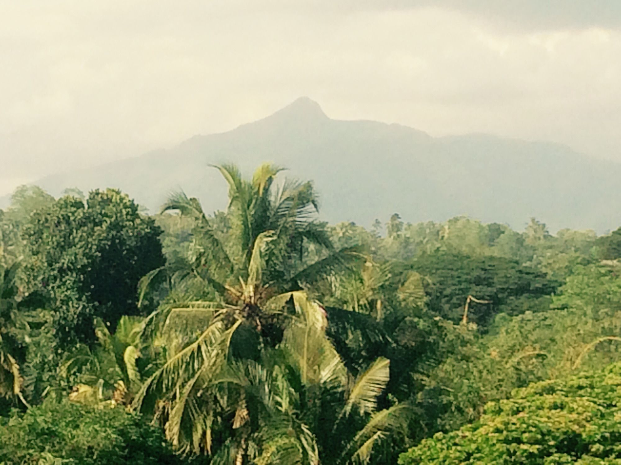 Mount River villas