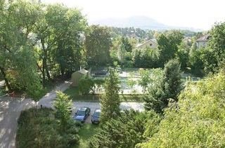 IBS Garden