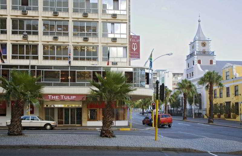 The Tulip