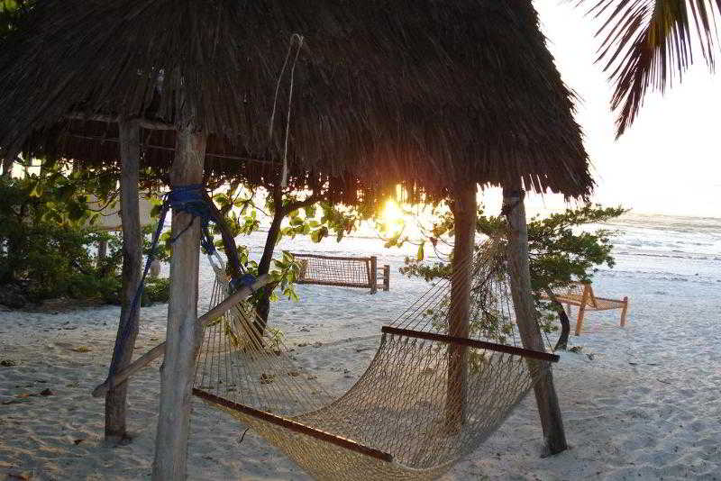 Twisted Palms Lodge & Restaurant