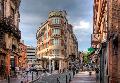 Ours Blanc Place Wilson