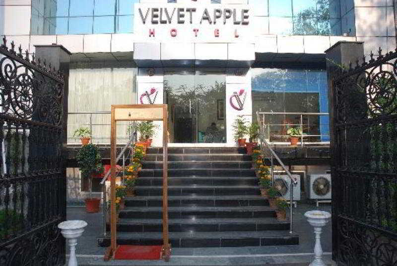 Velvet Apple Hotels