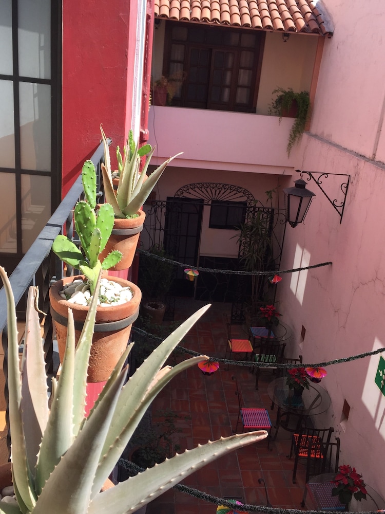 Olga Querida Hostal