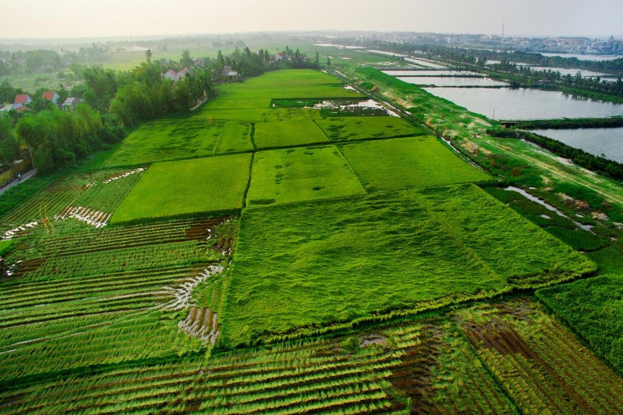 Thinh Vuong Homestay