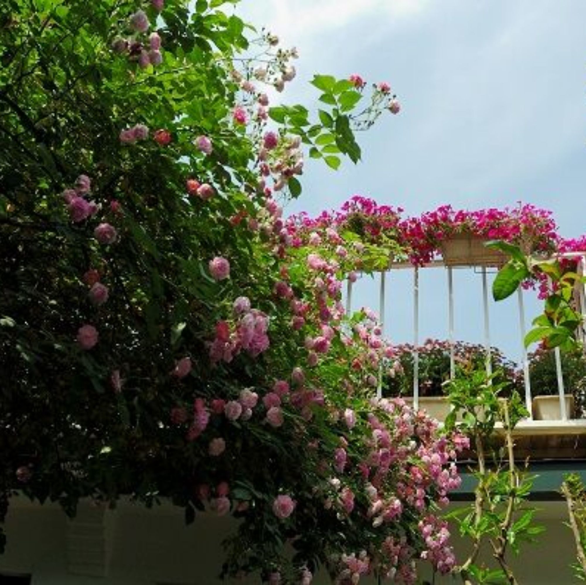 Peking Yard Hostel