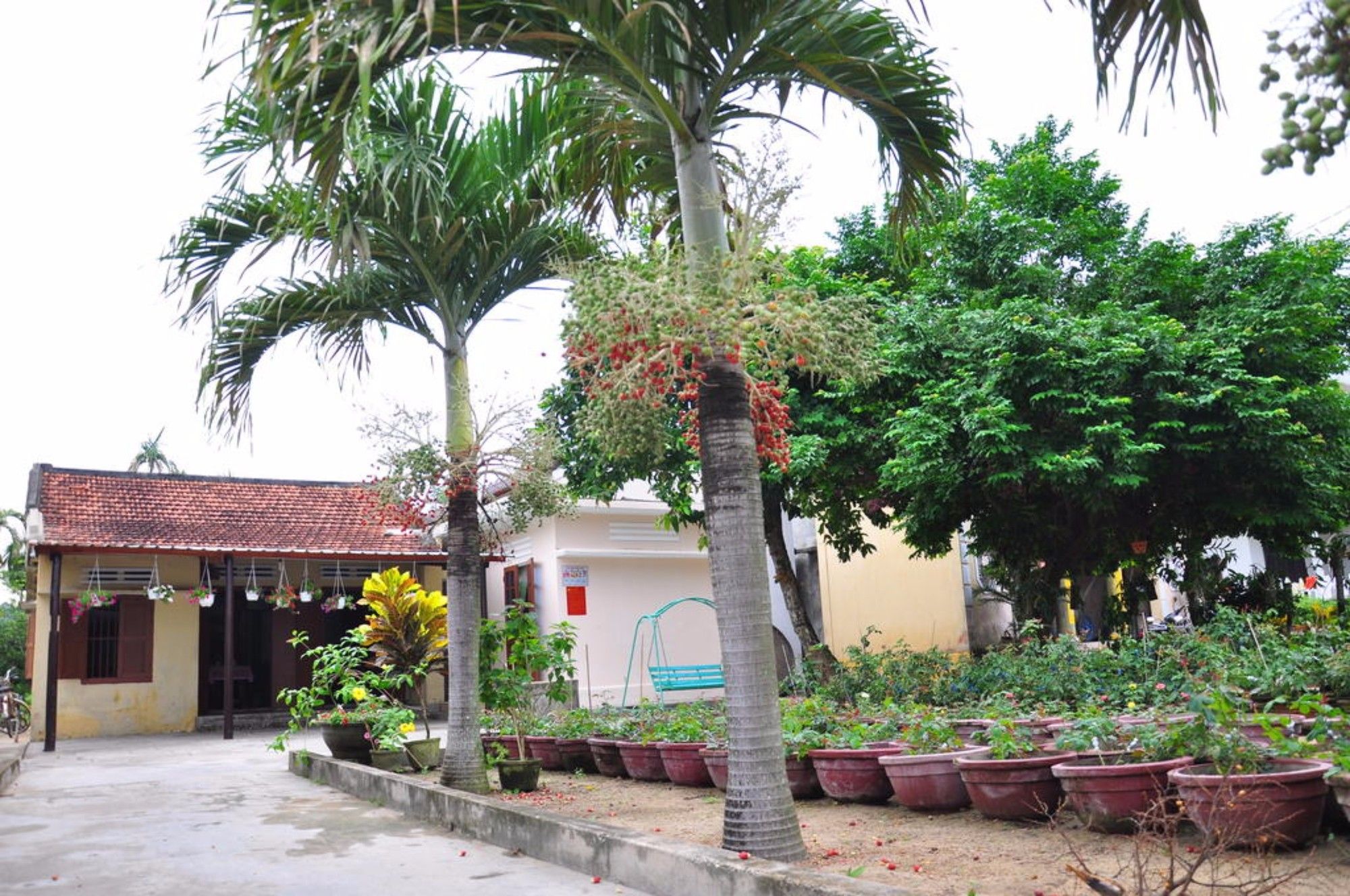 Petunia Garden Homestay and Hostel