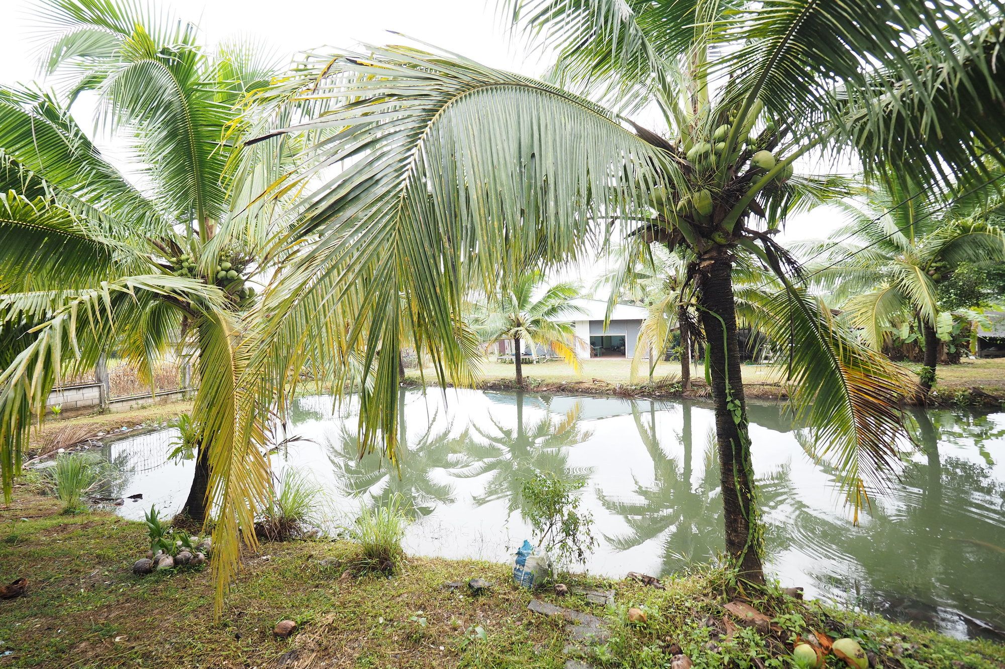 Sai Rung Resort