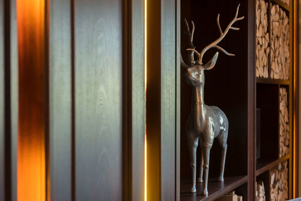 elaya hotel steinplatte