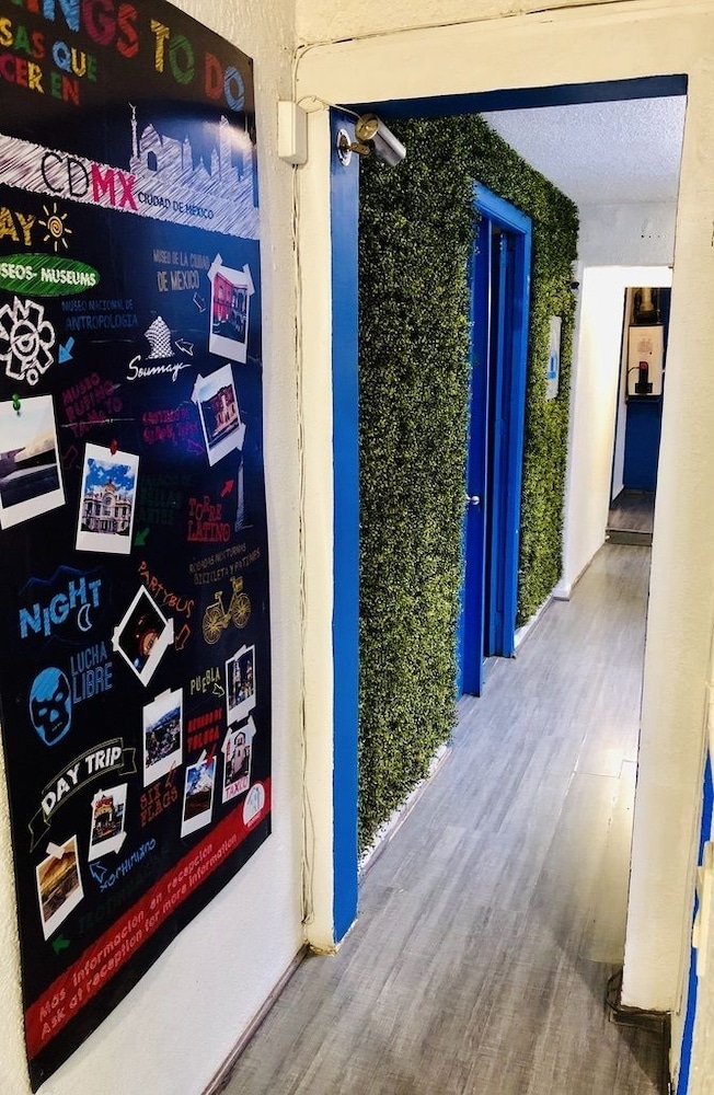 Roomies Hostel Condesa