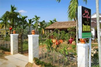 Green Areca Villa