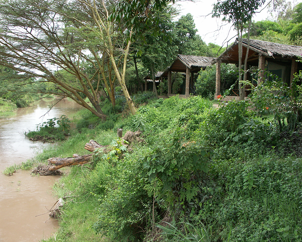 Fig Tree Camp