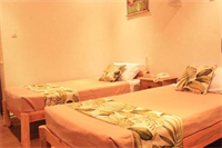 Palo Alto Bed & Breakfast