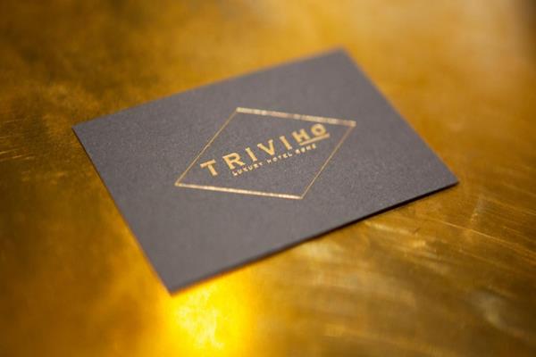 Triviho Hotel