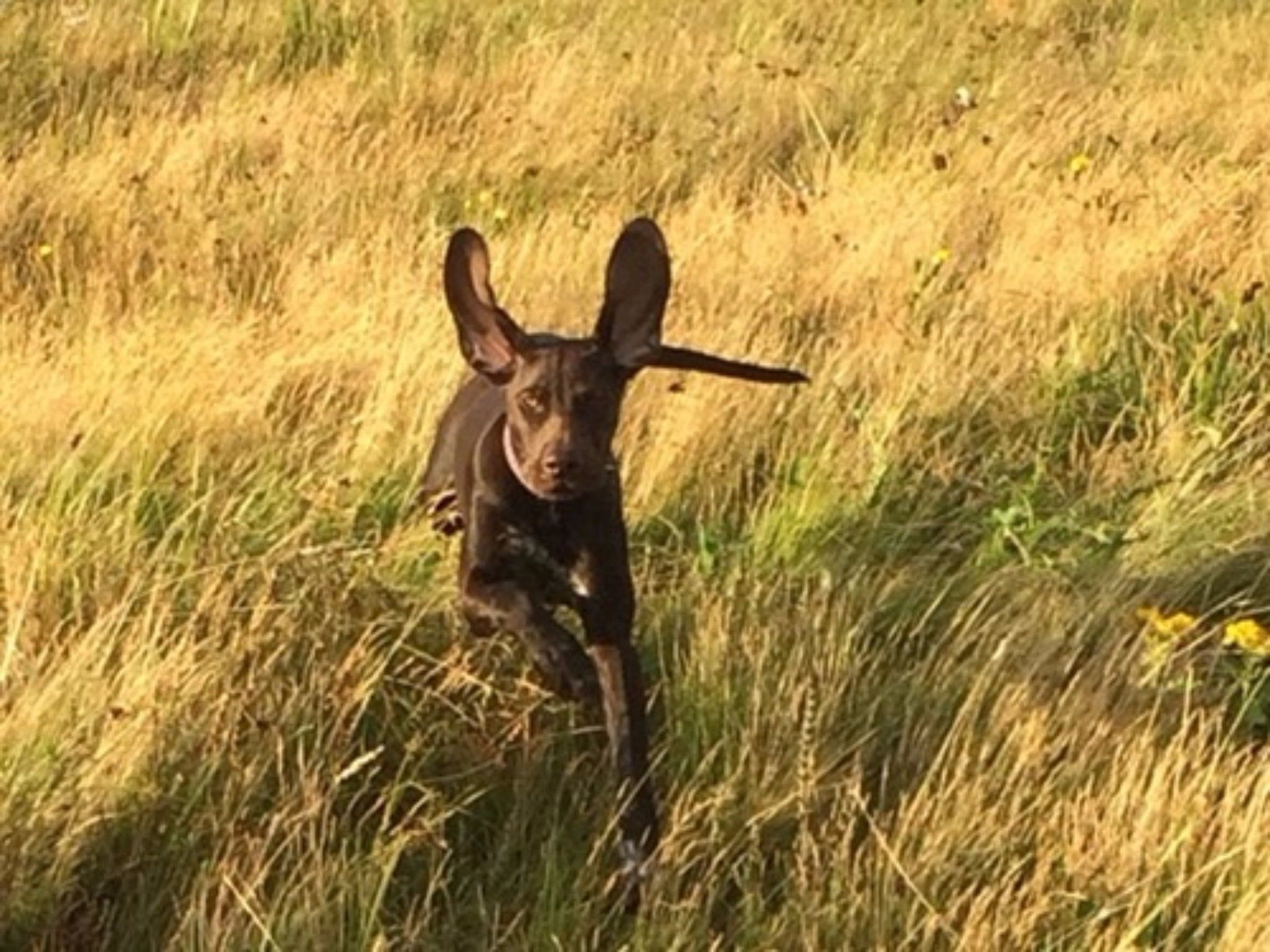 Aotearoa Southport Bed And Breakfast