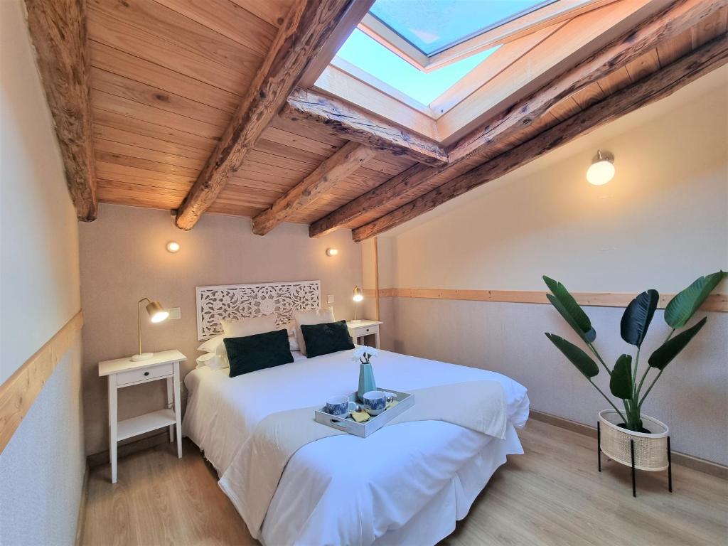 Apartamentos San Isidro